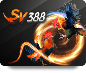 Những Mẹo Chơi Đá Gà Thắng Lớn Tại 78Win